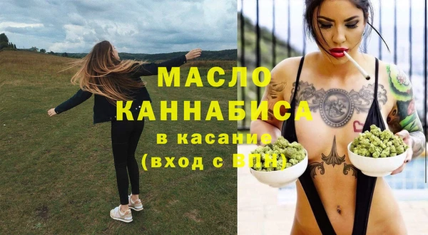 крисы Кулебаки