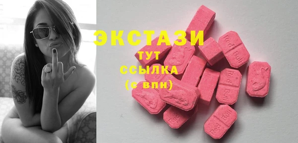 крисы Кулебаки