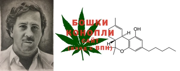 крисы Кулебаки