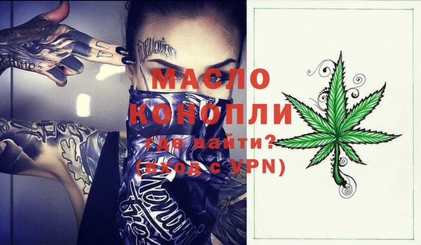 крисы Кулебаки