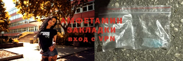 крисы Кулебаки