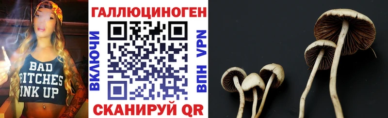 Купить закладки  Губкин  Галлюциногенные грибы ЛСД 